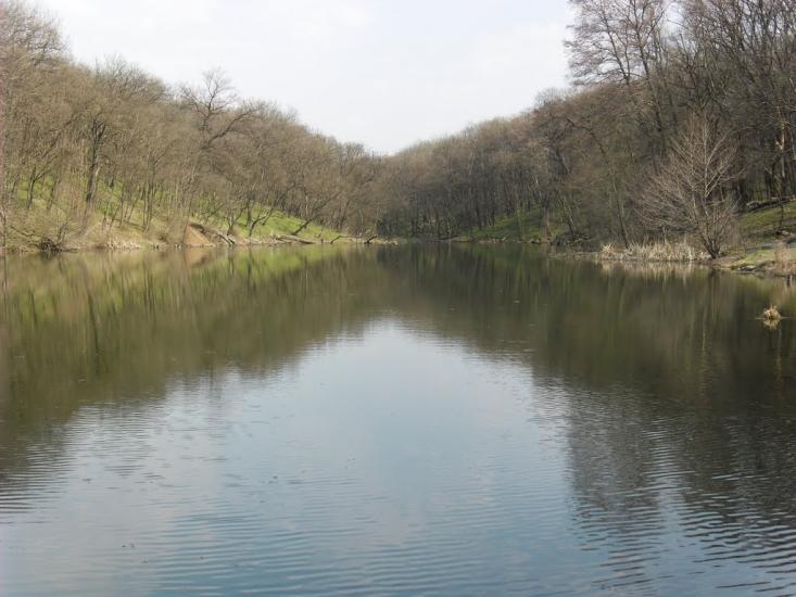 Сєверне з panoramio.com - Syeverne