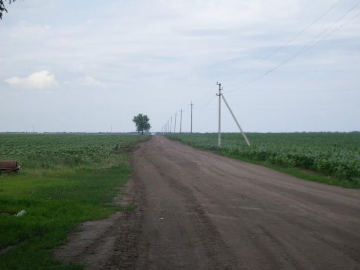 Краснопілка з panoramio.com - Краснополка