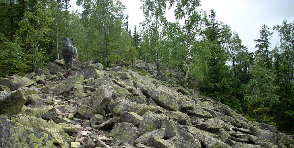 Максимець з panoramio.com - Maksymets