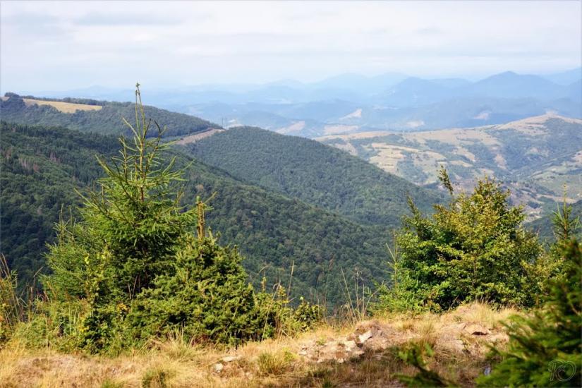 Сопки з panoramio.com - Сопки