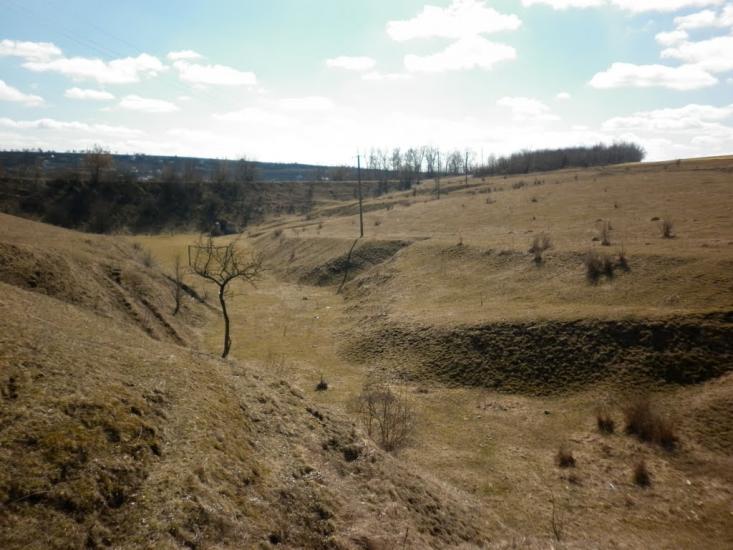 Хоменки з panoramio.com - Хоменки