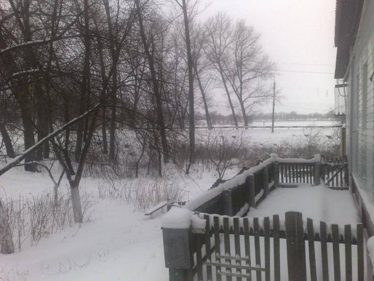 Буринь з panoramio.com - Буринь