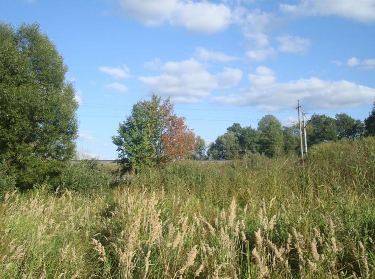 Зірка з panoramio.com - Зирка