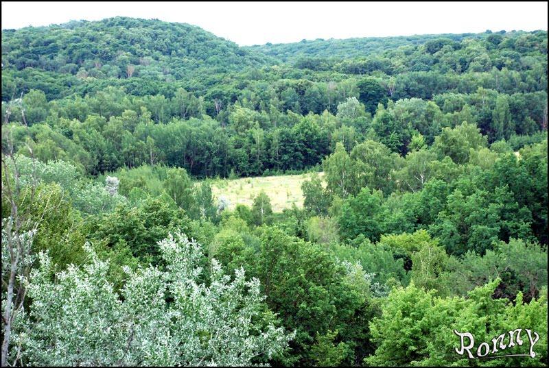 Григорівка з panoramio.com - Григорівка