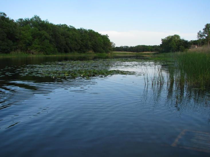 Усть-Лип'янка з panoramio.com - Усть-Липянка