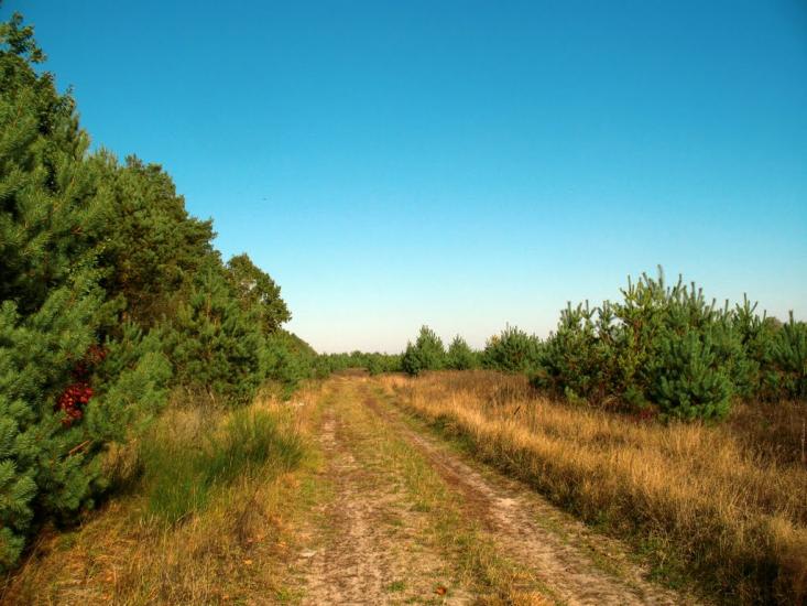 Бодячів з panoramio.com - Бодячев