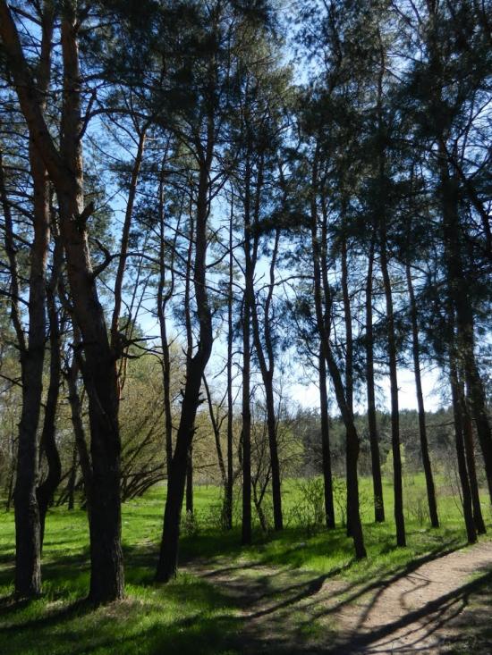 Широке з panoramio.com - Широкое