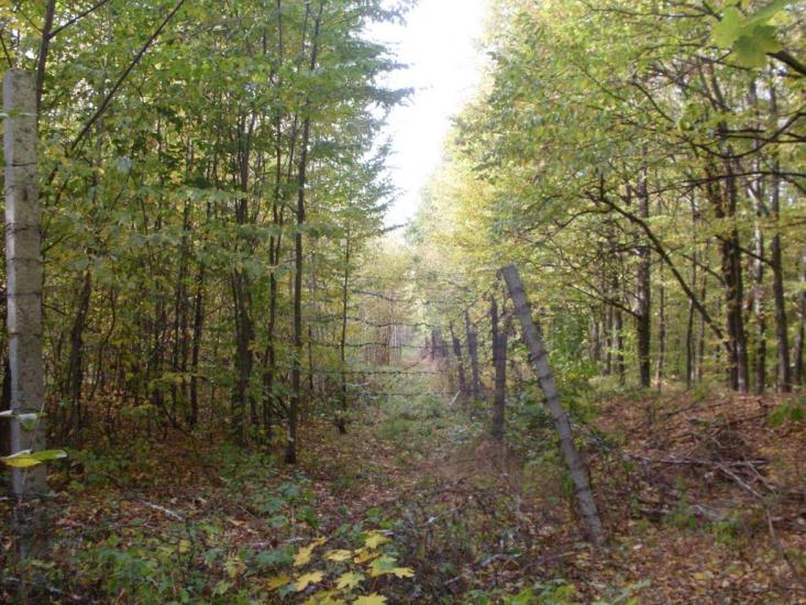 Городок з panoramio.com - Городок