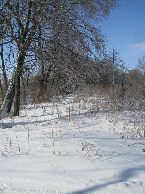 Домажир з panoramio.com - Домажир