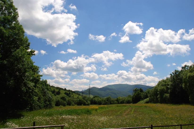 Підполоззя з panoramio.com - Підполоззя