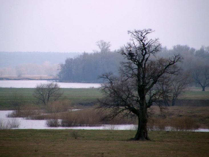 Киселівка з panoramio.com - Киселівка