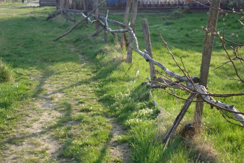 Ценява з panoramio.com - Ценява