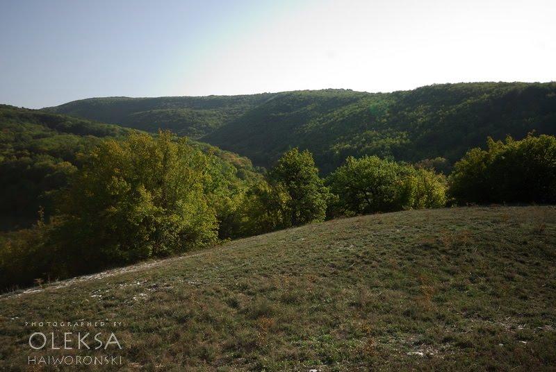 Багата Ущелина з panoramio.com - Bagata Uschelyna