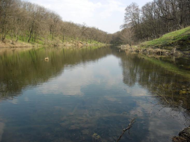 Сєверне з panoramio.com - Syeverne