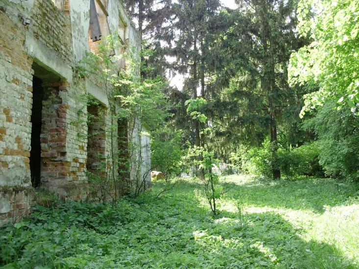 Черниця з panoramio.com - Черниця