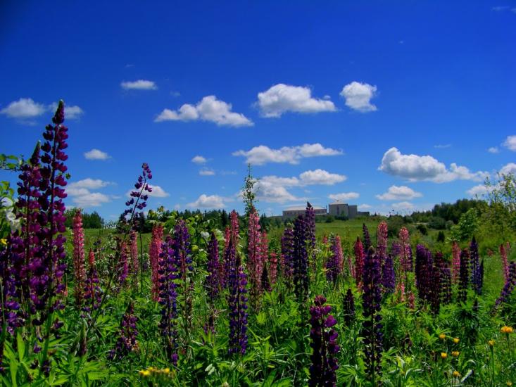 Сокиряни з panoramio.com - Сокиряны