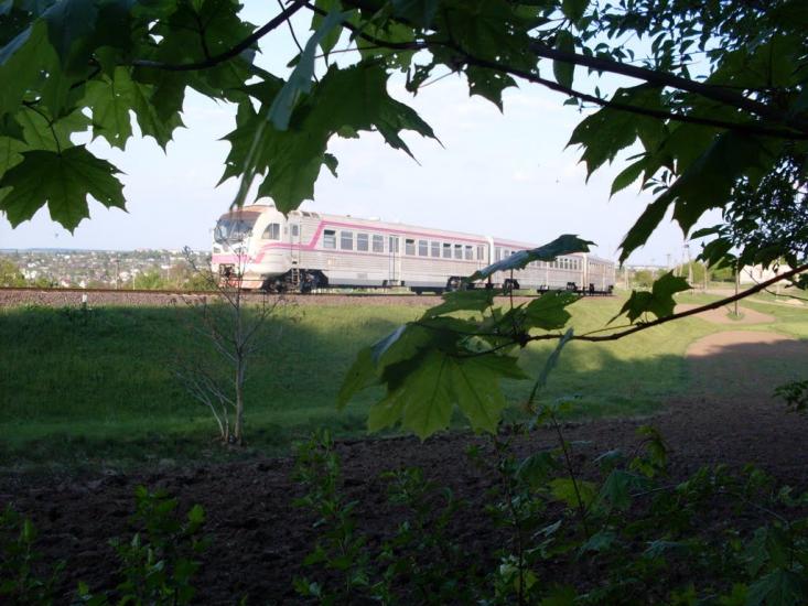Куна з panoramio.com - Куна