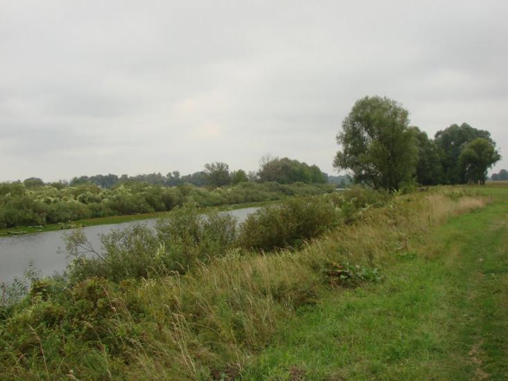 Зазим'я з panoramio.com - Зазимье