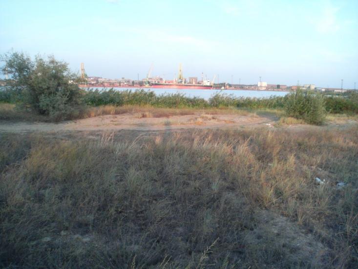 Галицинове з panoramio.com - Галициново