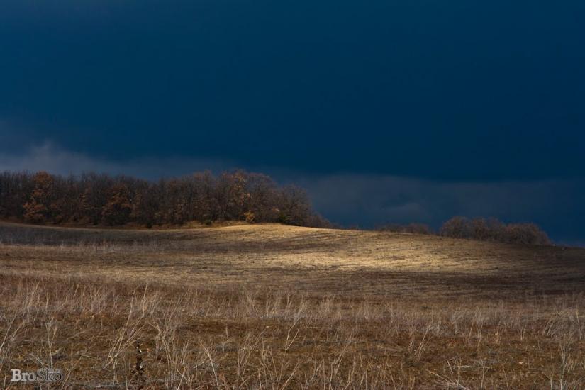 Білокам'яне з panoramio.com - Білокам'яне