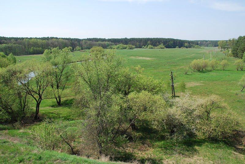 Озерне з panoramio.com - Озерне