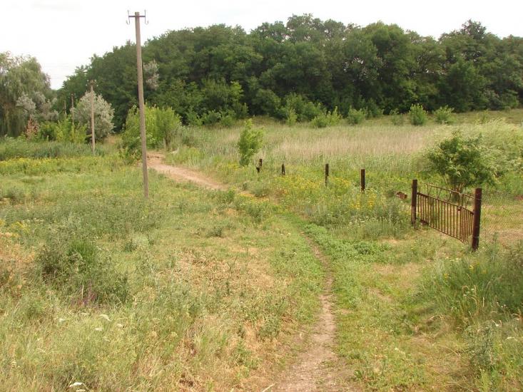 Кутузовка з panoramio.com - Кутузовка