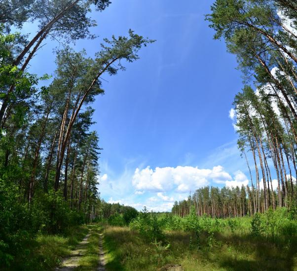 Тополівка з panoramio.com - Тополівка
