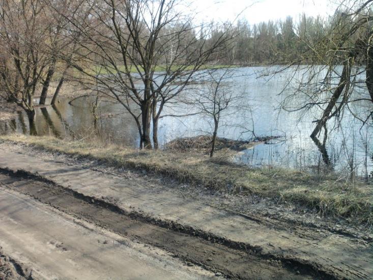 Червоний Оскіл з panoramio.com - Червоный Оскол