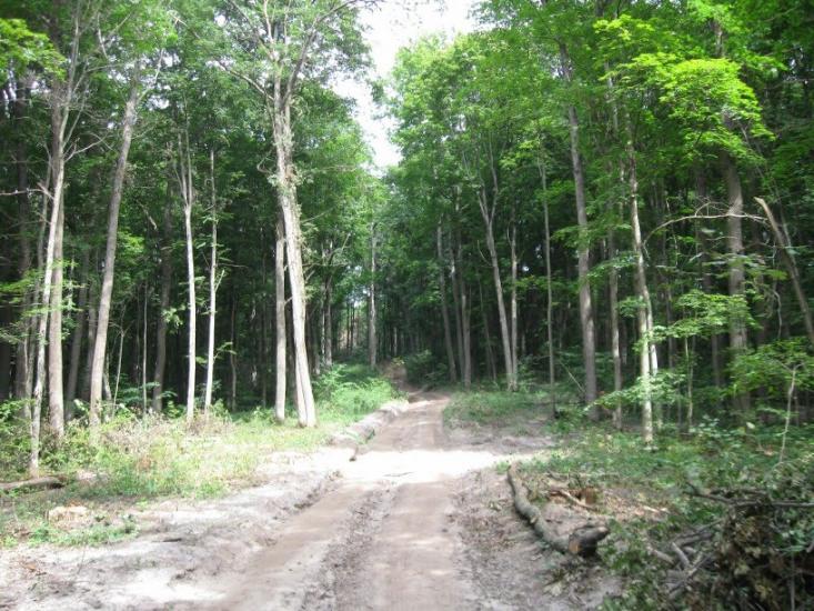Кияниця з panoramio.com - Kyyanytsya