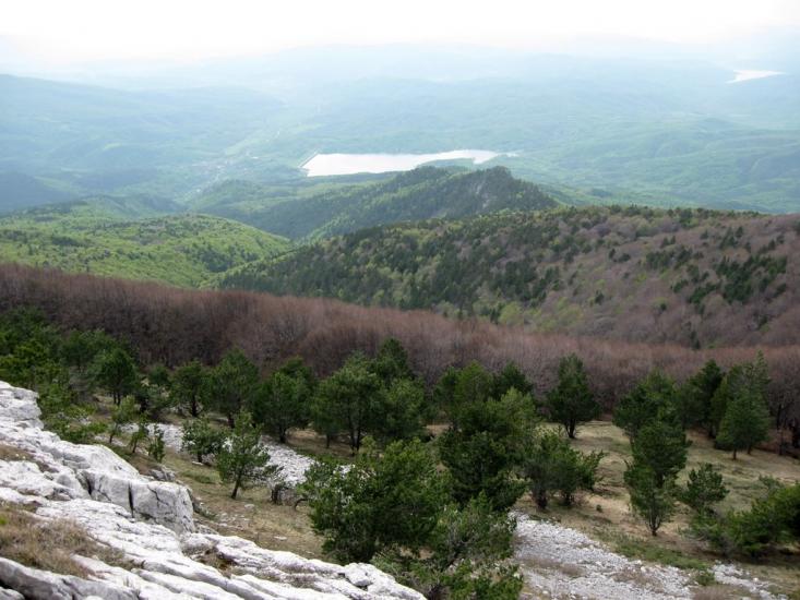 Відрадне з panoramio.com - Отрадное
