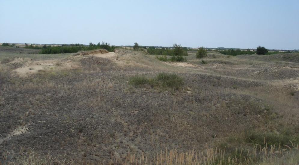 Пролетарка з panoramio.com - Пролетарка