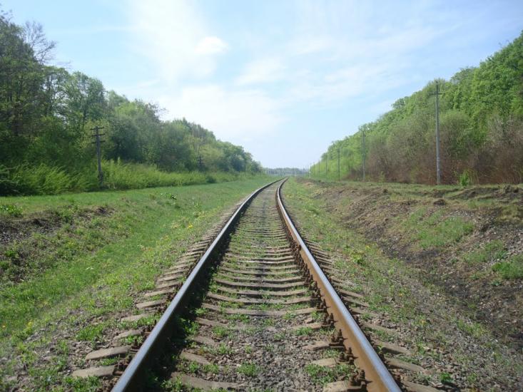 Старі Бейзими з panoramio.com - Старі Бейзими