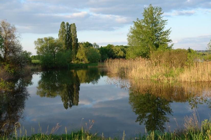 Жашків з panoramio.com - Жашков