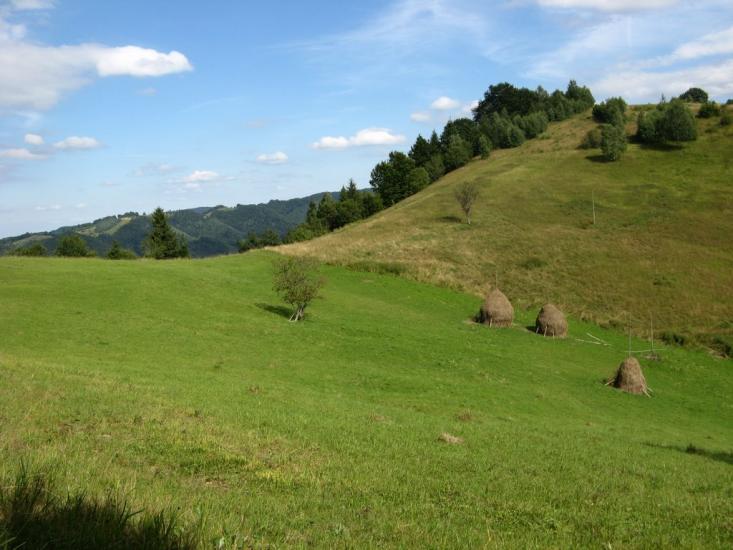 Хорови з panoramio.com - Хоровы