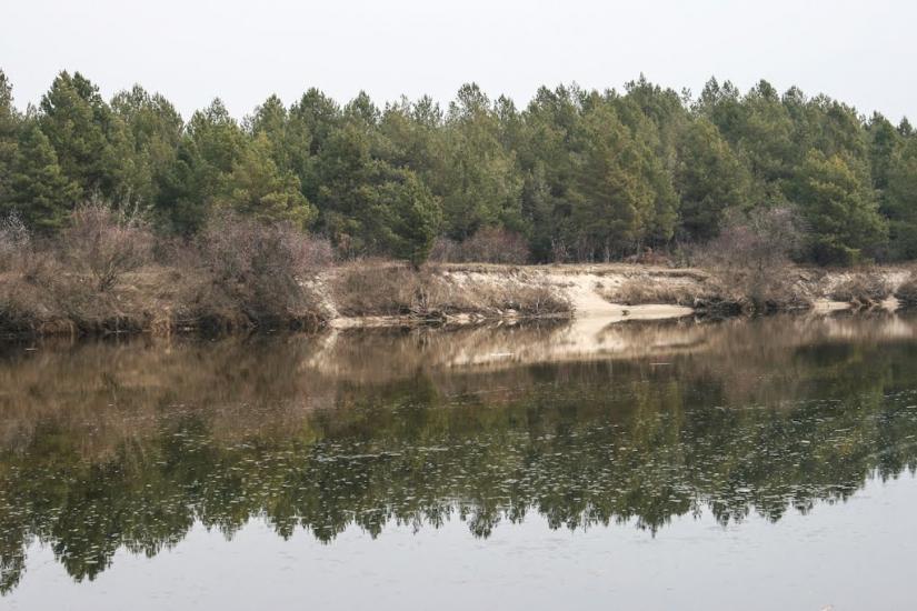 Прохорівка з panoramio.com - Прохорівка