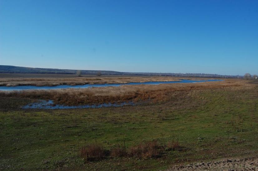 Борівське з panoramio.com - Борівське