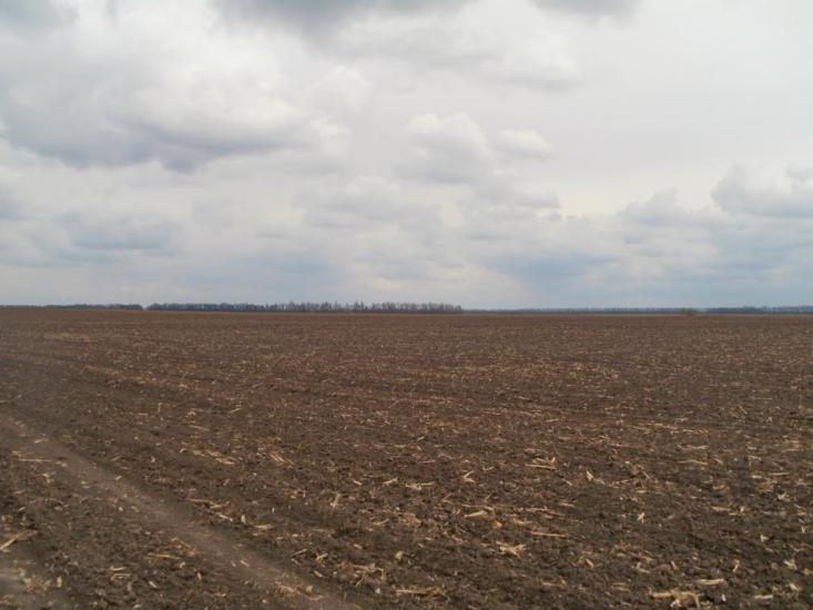 Краснопілка з panoramio.com - Краснополка