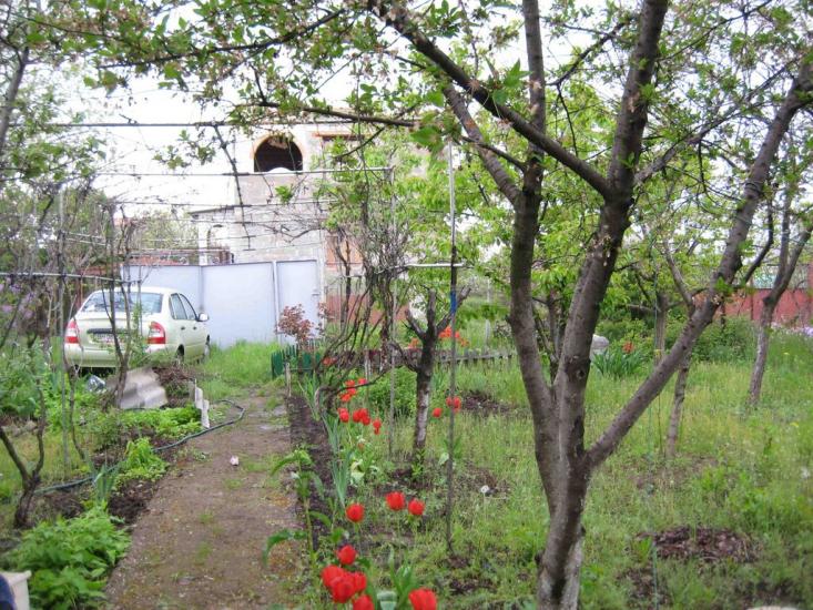 Пшонянове з panoramio.com - Пшонянове
