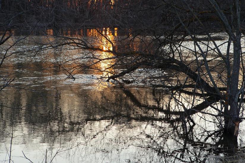 Черемушне з panoramio.com - Cheremushne