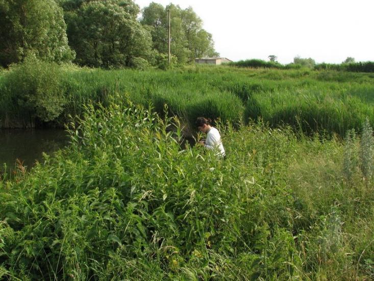 Віленька з panoramio.com - Vilenka