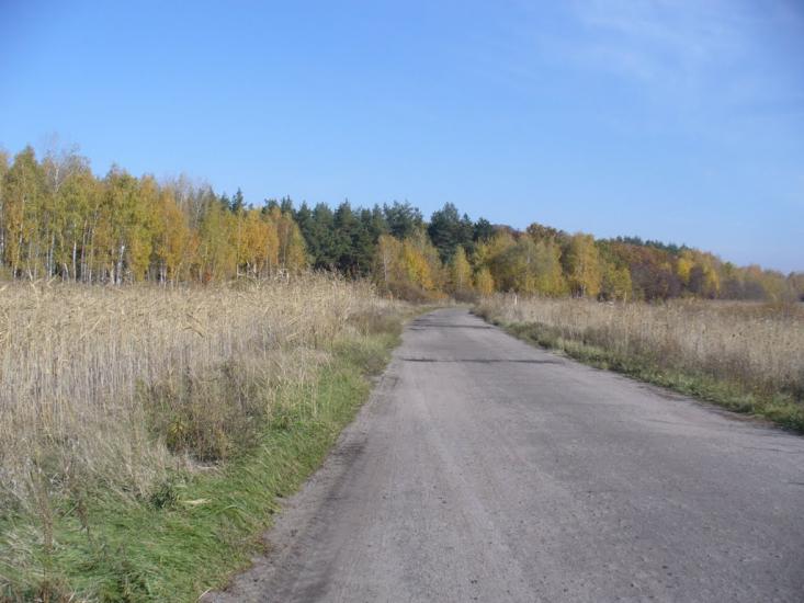 Усть-Лип'янка з panoramio.com - Усть-Липянка