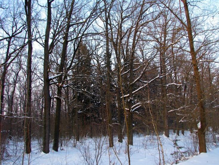 Волиця з panoramio.com - Волица