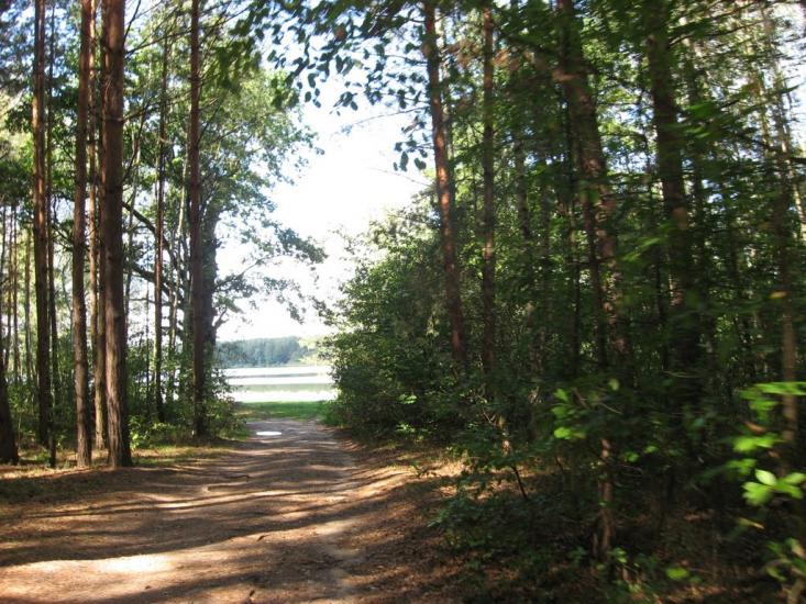 Рудня-Городищенська з panoramio.com - Rudnya-Gorodyschenska