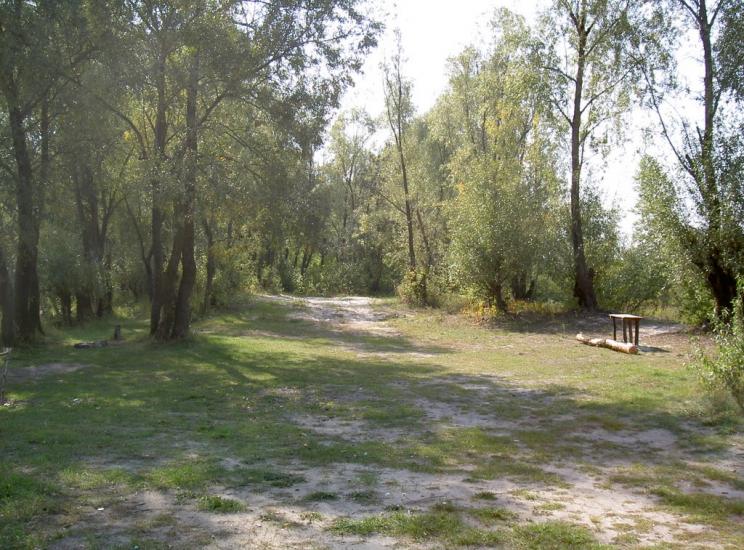 Вища Дубечня з panoramio.com - Вища Дубечня