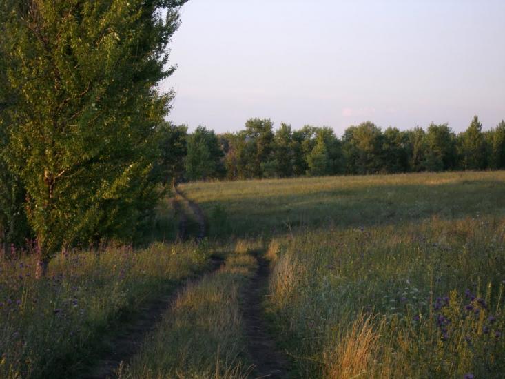 Питомник з panoramio.com - Питомник
