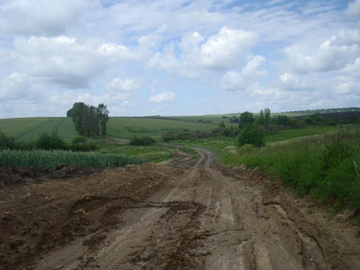 Давидківці з panoramio.com - Давыдковцы