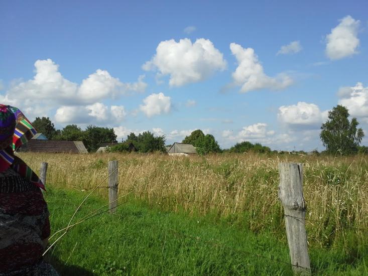 Вирка з panoramio.com - Вирка