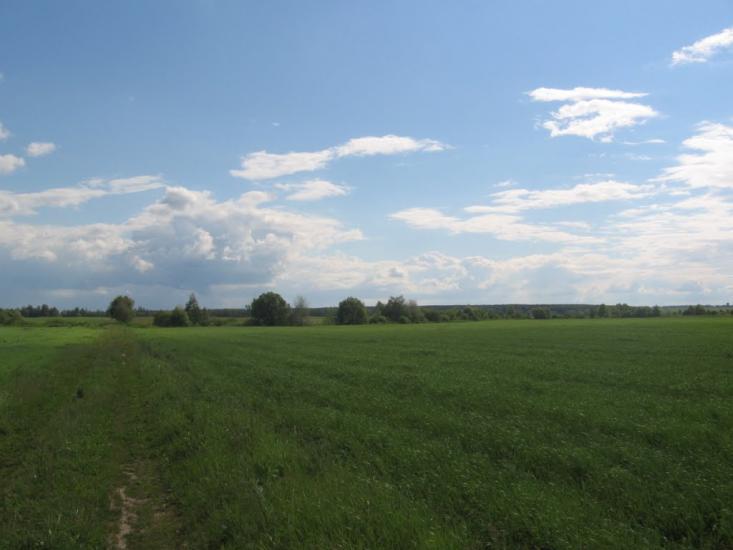 Терехівка з panoramio.com - Тереховка