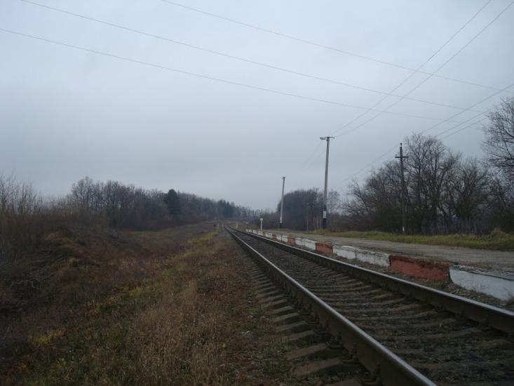 Кузьмин з panoramio.com - Кузьмин
