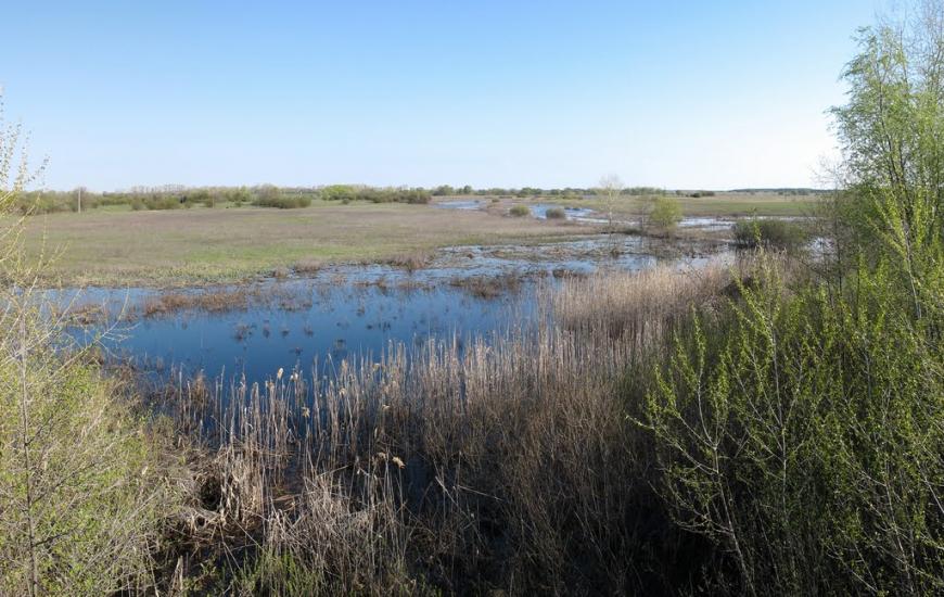 Буняківка з panoramio.com - Буняківка